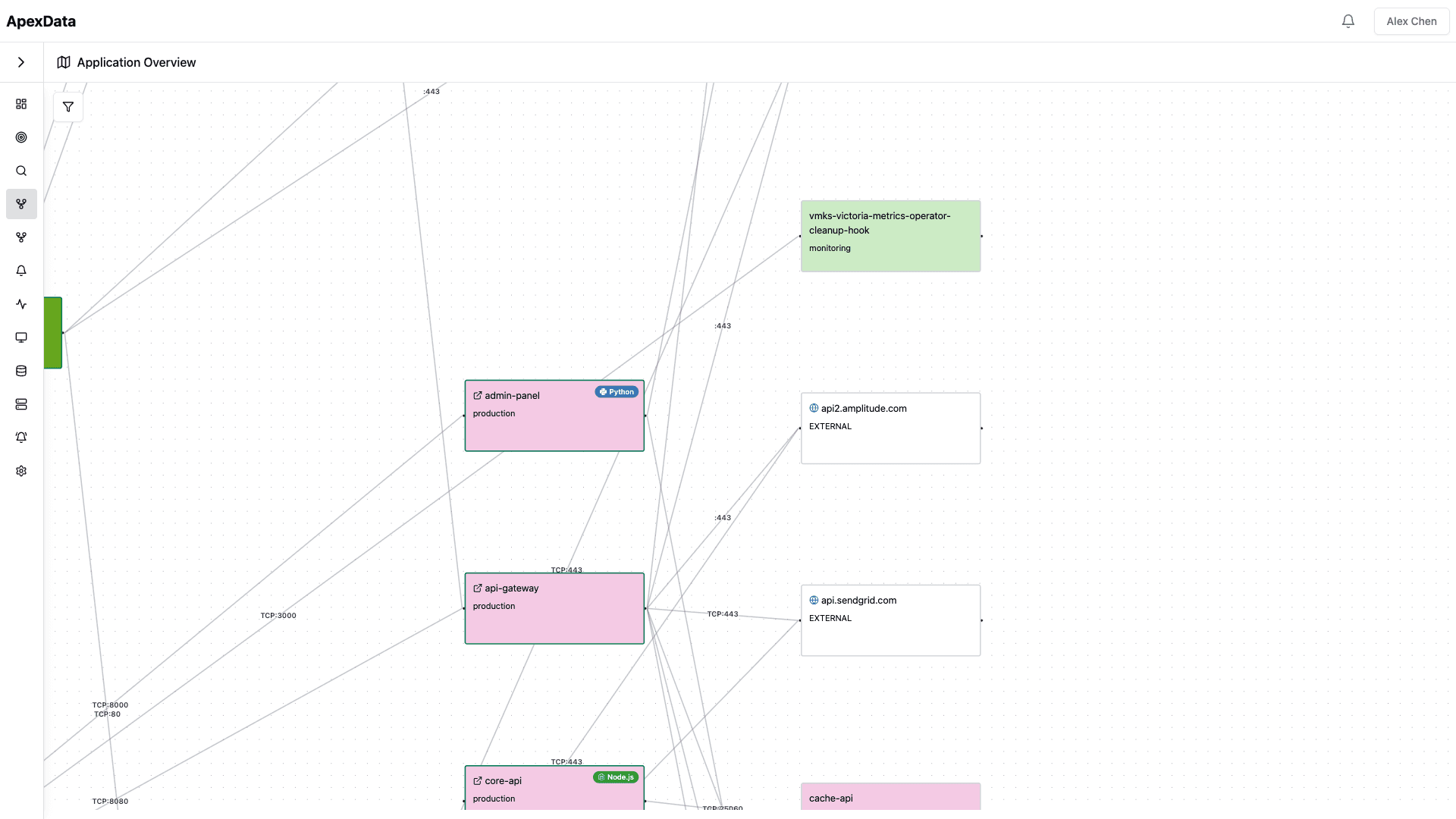 Auto-discovered service topology showing all application services, connections, and external dependencies